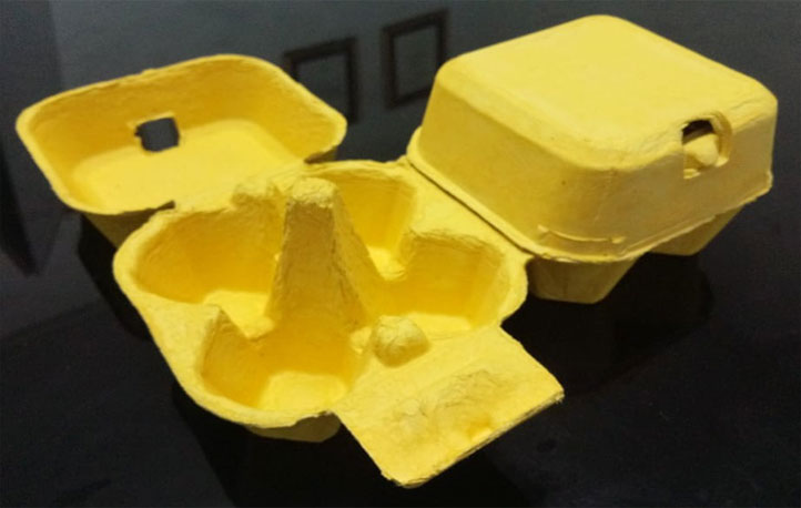 Egg Box Isi 4 Kuning Image