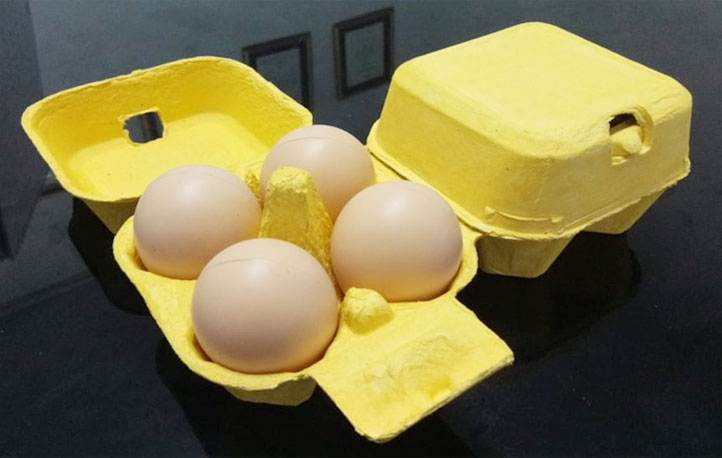 Aplikasi Pemakaian Egg Box Isi 4 Kuning Image