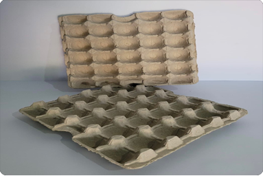 egg tray