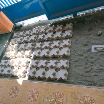 Cor Di Halaman Rumah 30